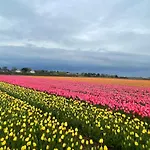 Cabin De Duinweg: Direct Aan Duin En Bos
