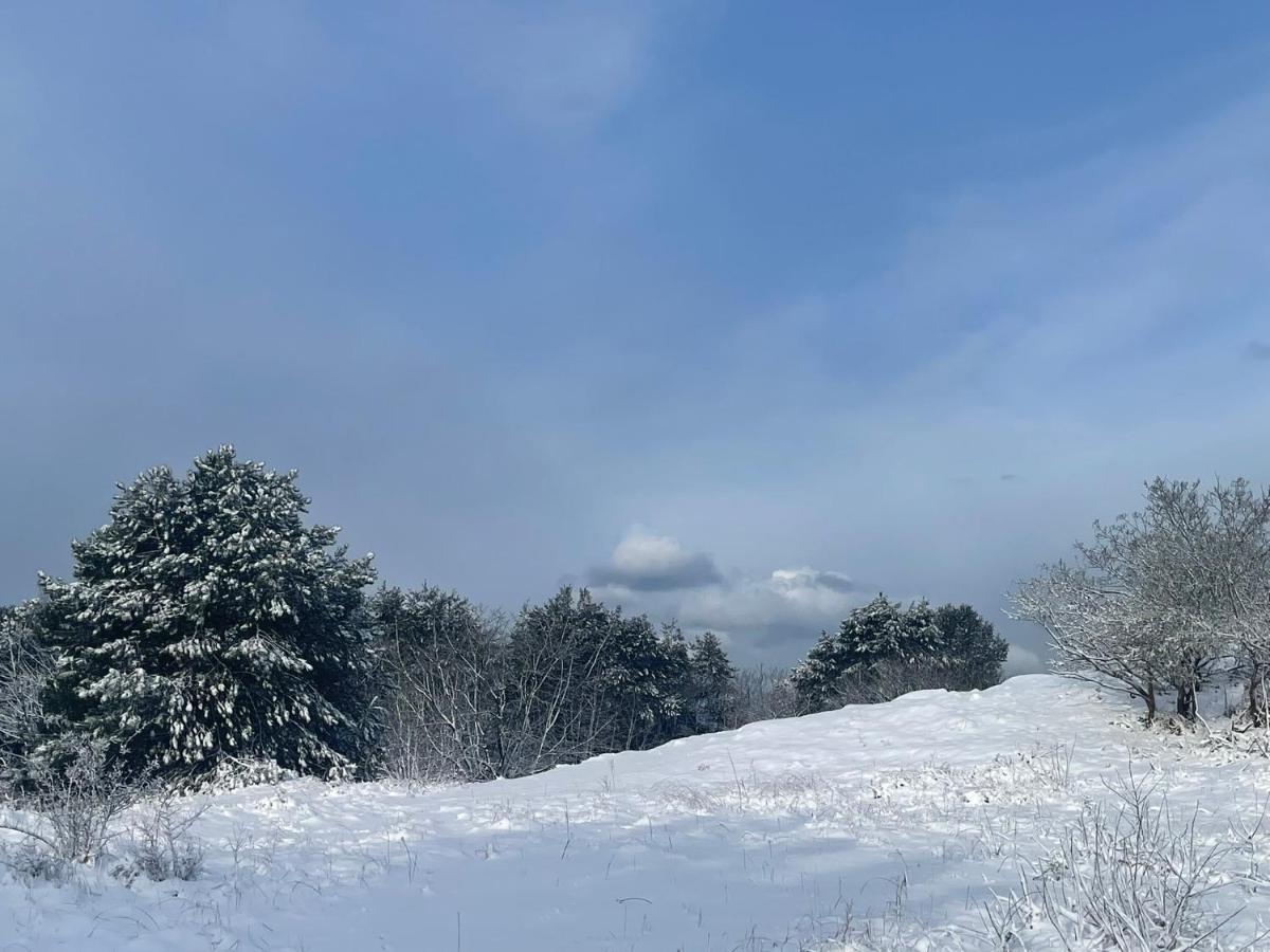 De Duinweg: Direct Aan Duin En Bos * Noordwijk