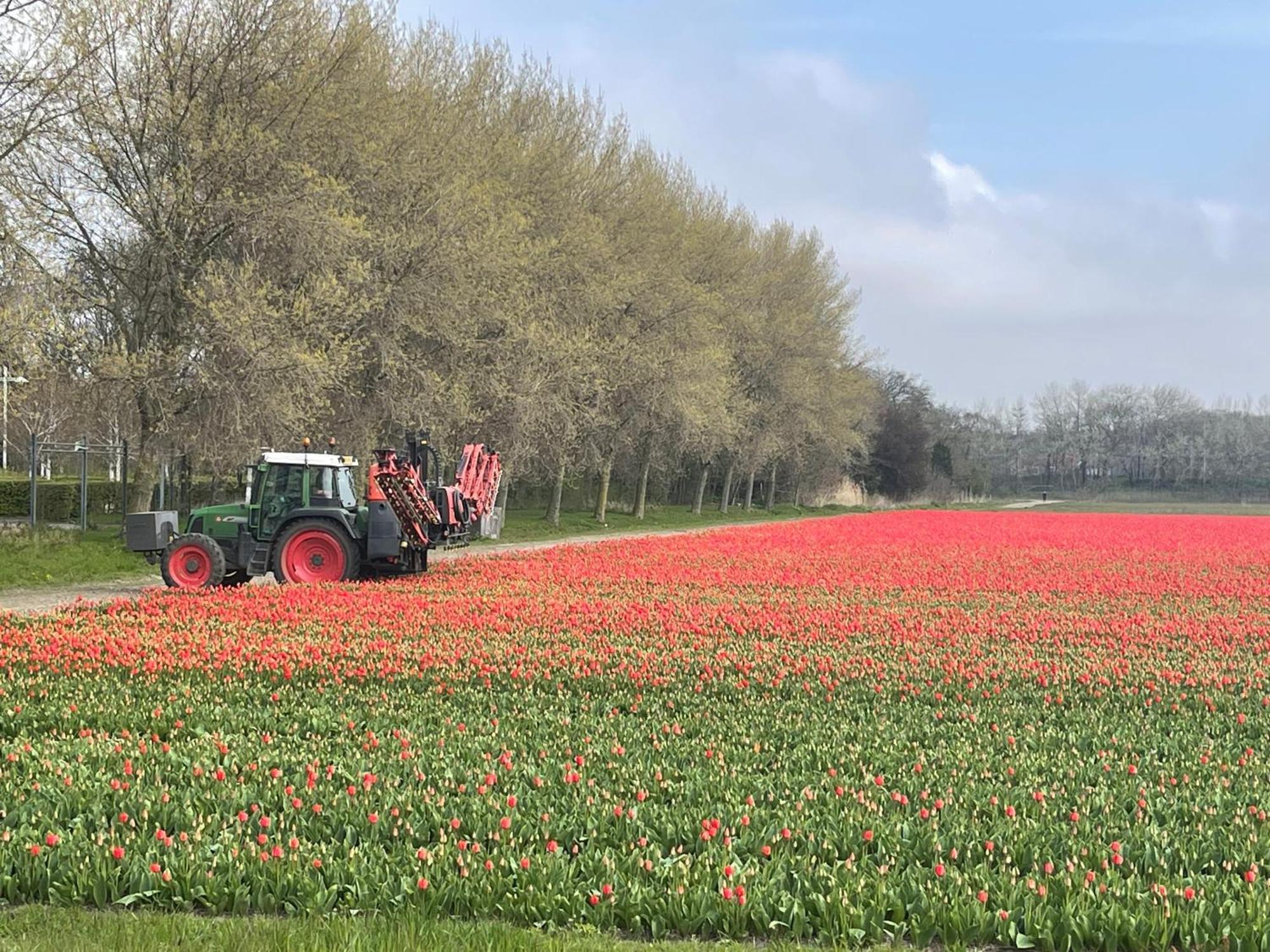 De Duinweg: Direct Aan Duin En Bos Noordwijk