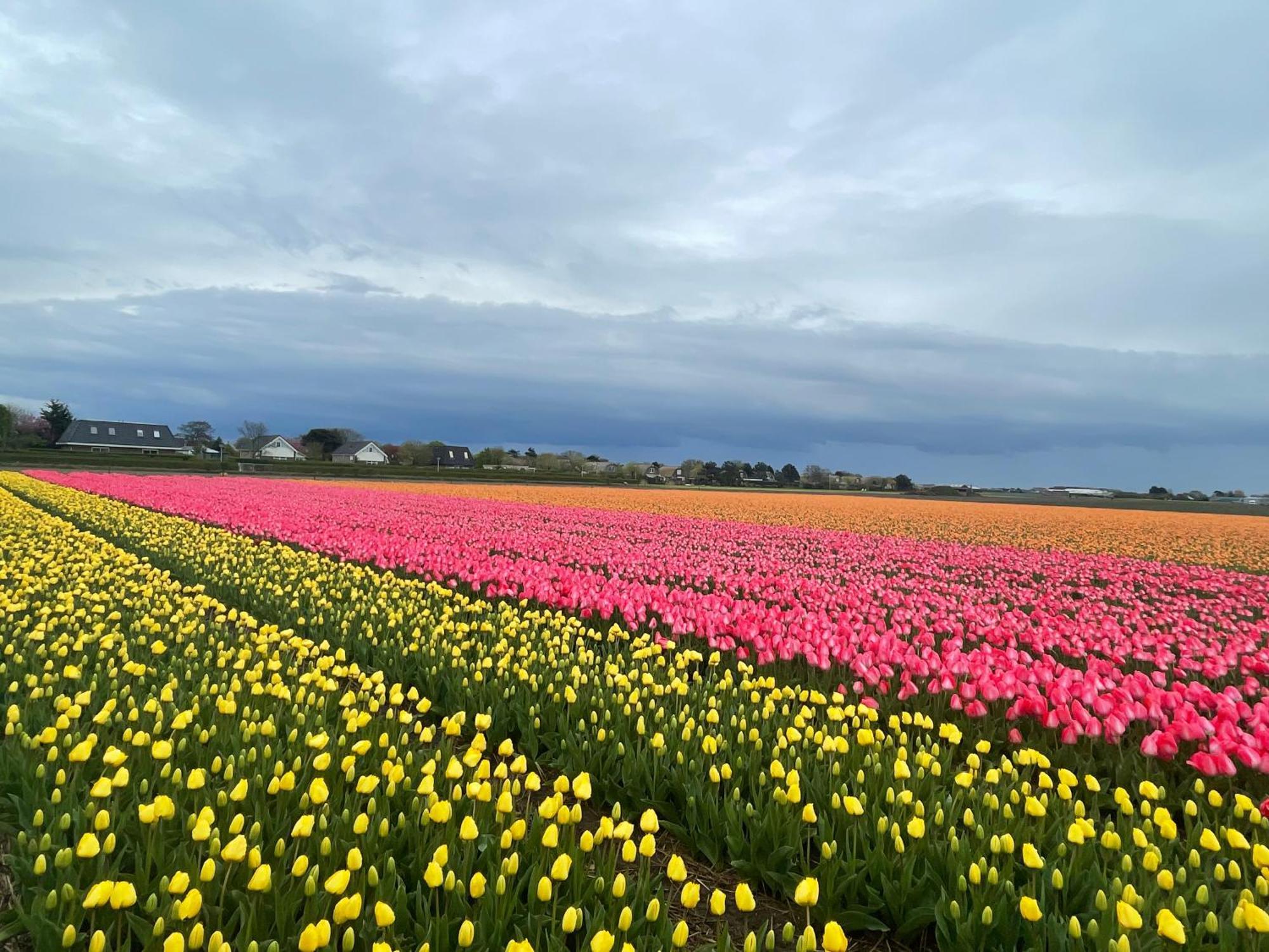 Chalet De Duinweg: Direct Aan Duin En Bos